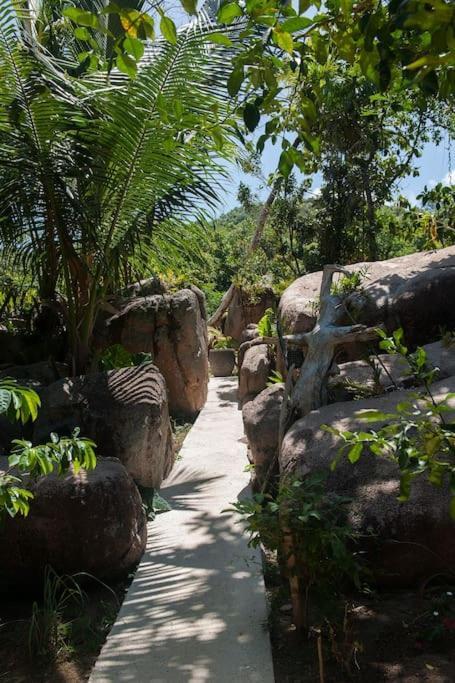 La Pointe Huts בקתה